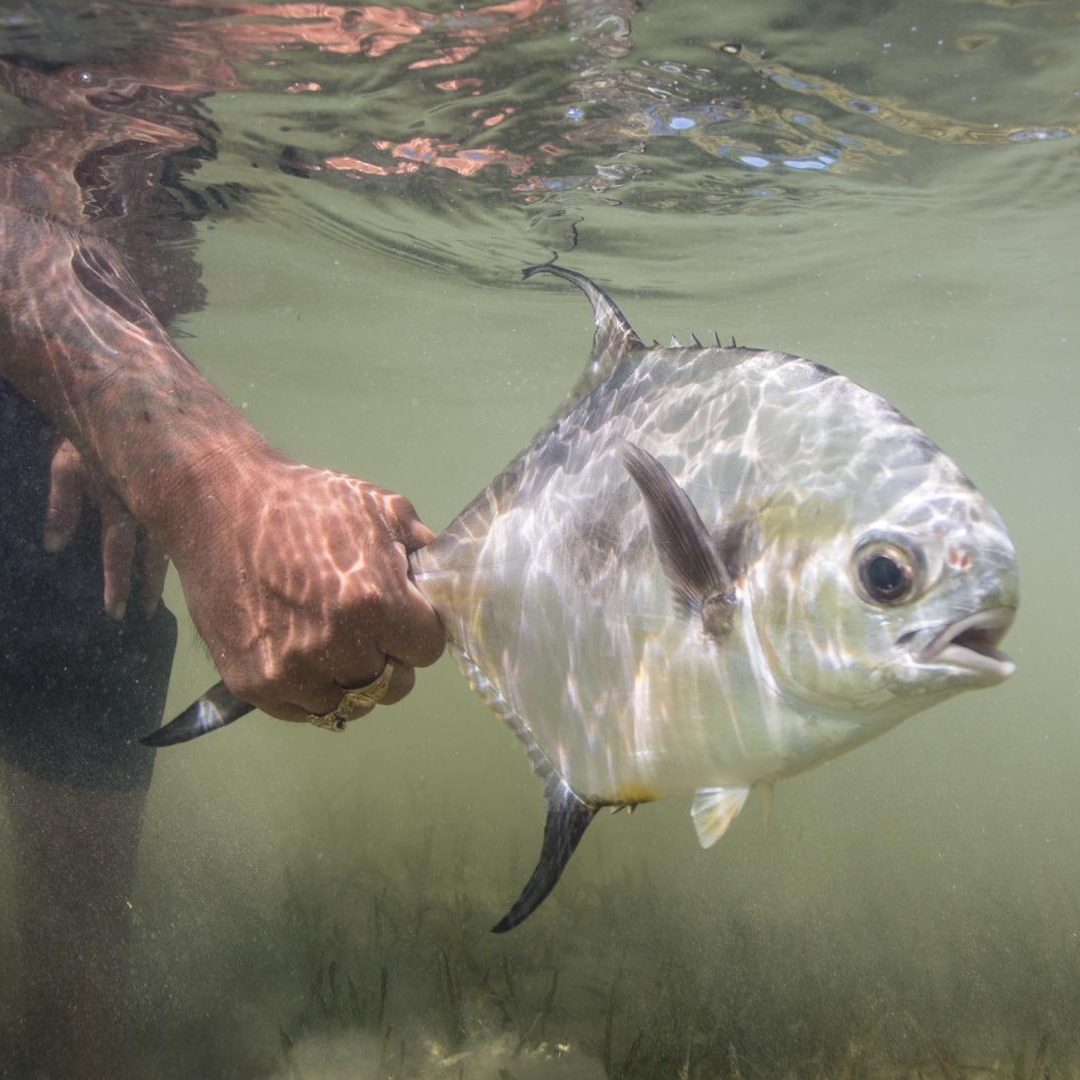 Saltwater 101 Fly Fishing School