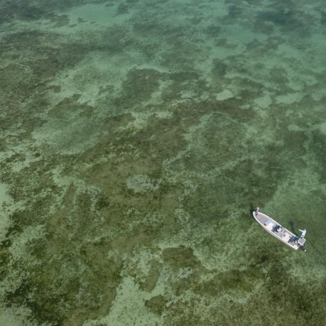 Saltwater 101 Fly Fishing School