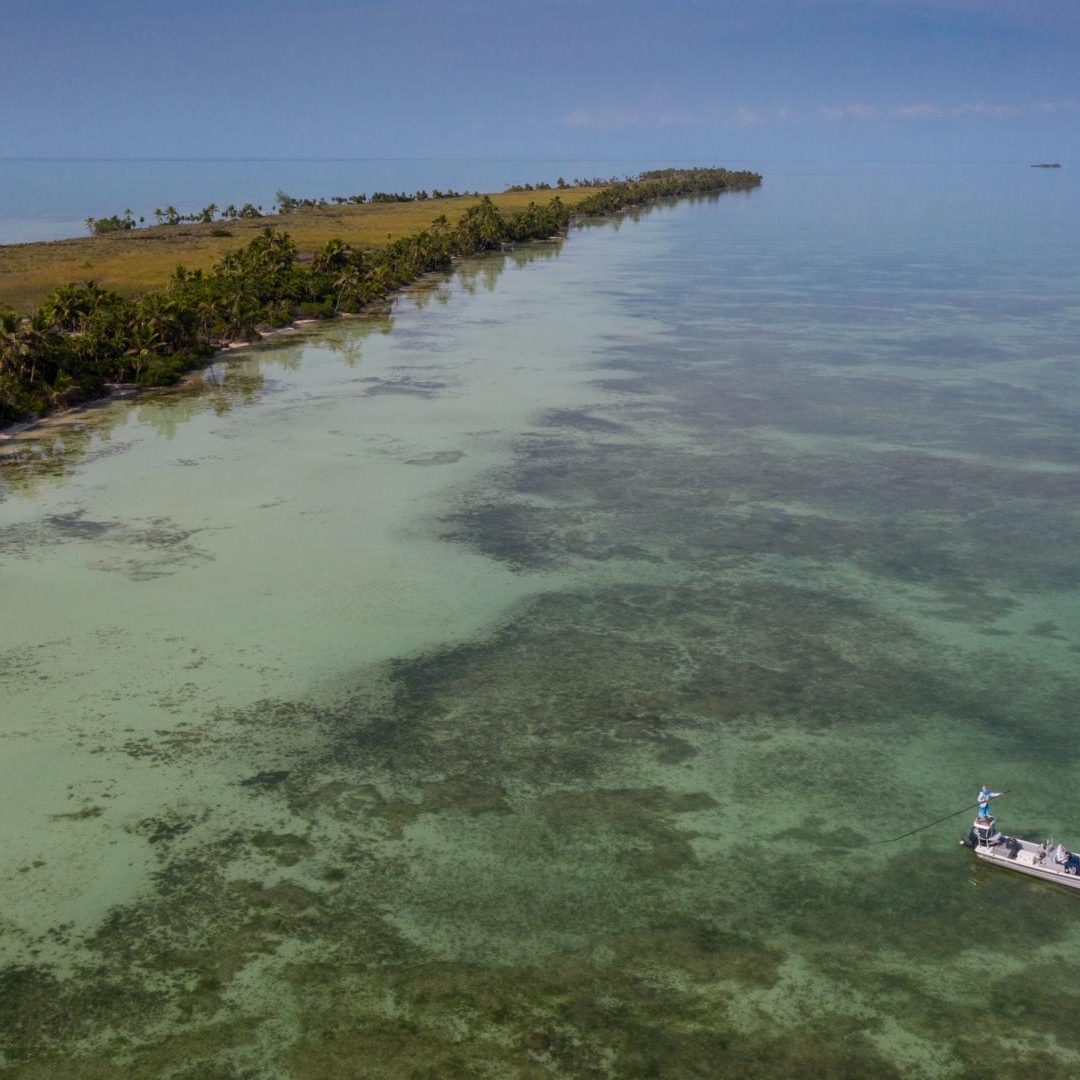 Saltwater 101 Fly Fishing School