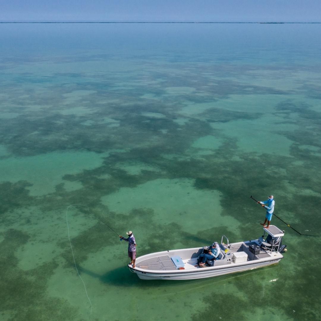 Saltwater 101 Fly Fishing School