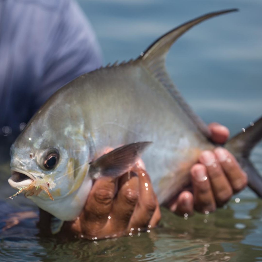 Saltwater 101 Fly Fishing School