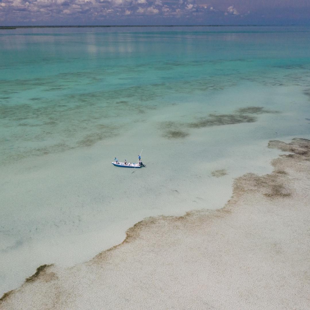 Saltwater 101 Fly Fishing School