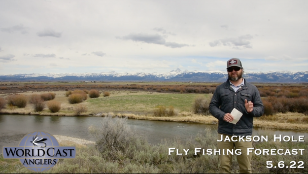 Jackson Hole Fly Fishing Forecast 5.6.22
