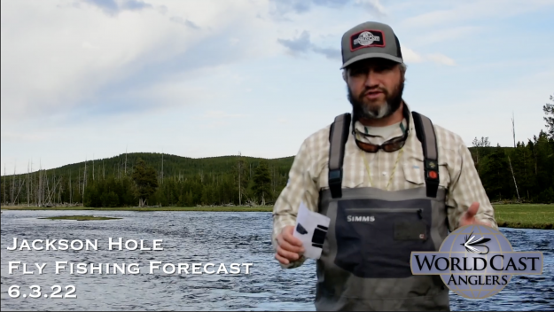 Jackson Hole Fly Fishing Forecast 6.3.22