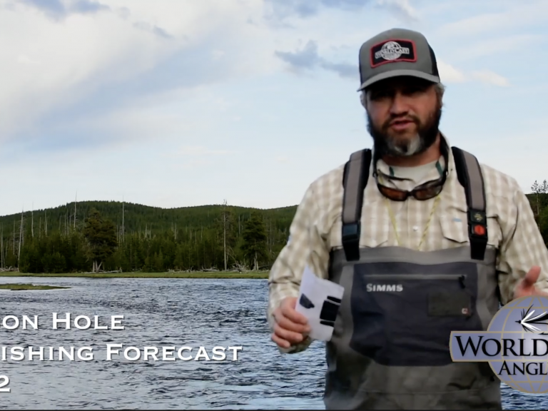 Jackson Hole Fly Fishing Forecast 6.3.22