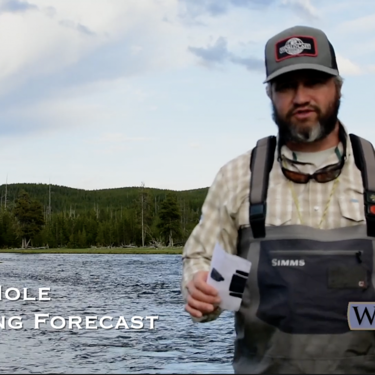 Jackson Hole Fly Fishing Forecast 6.3.22
