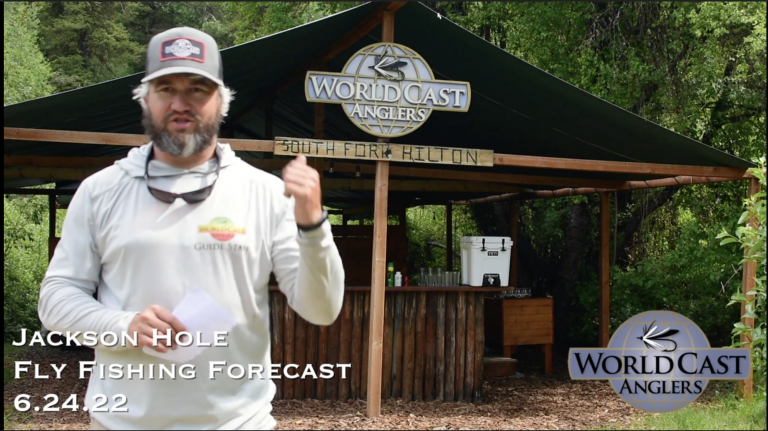 Jackson Hole Fly Fishing Forecast 6.24.22