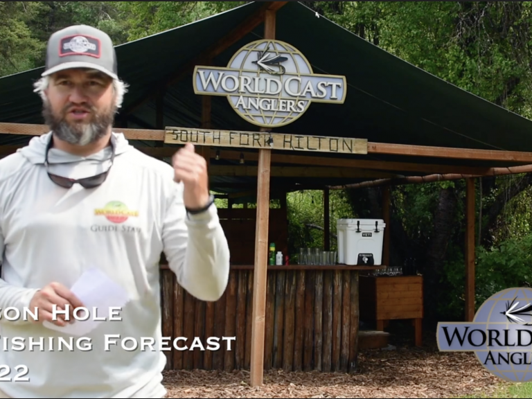 Jackson Hole Fly Fishing Forecast 6.24.22