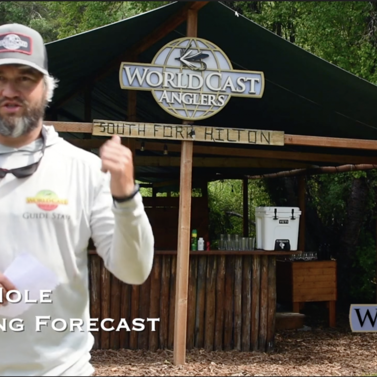 Jackson Hole Fly Fishing Forecast 6.24.22