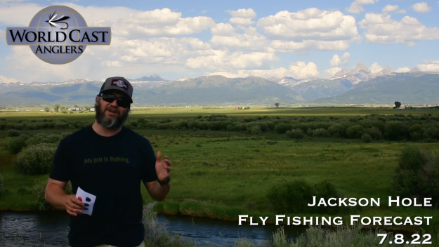 Jackson Hole Fly Fishing Forecast 7.8.22