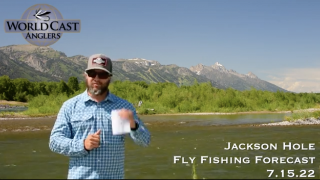 Jackson Hole Fly Fishing Forecast 7.15.22