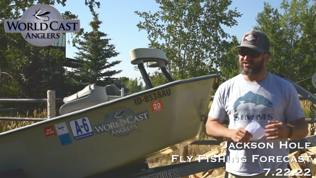 Jackson Hole Fly Fishing Forecast 7.22.22