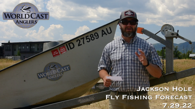 Jackson Hole Fly Fishing Forecast 7.29.22