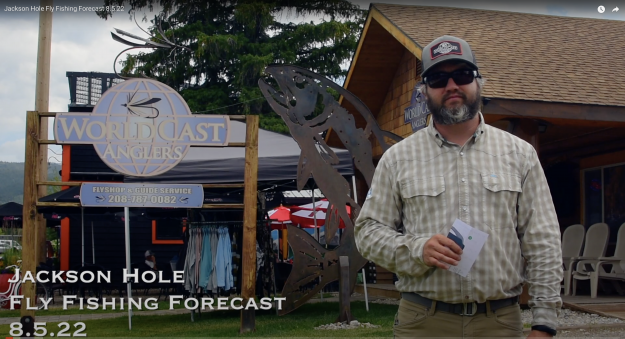 Jackson Hole Fly Fishing Forecast 8.5.22