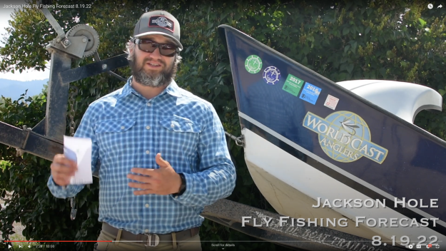 Jackson Hole Fly Fishing Forecast