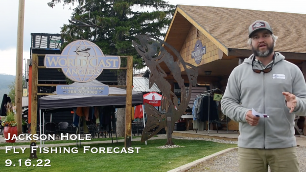 Jackson Hole Fly Fishing Forecast 9.16.22