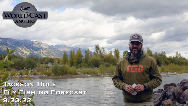 Jackson Hole Fly Fishing Forecast