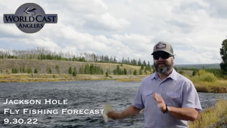 Jackson Hole Fly Fishing Forecast 9.30.22