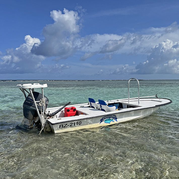 Turneffe Flats Dolphin Skiff