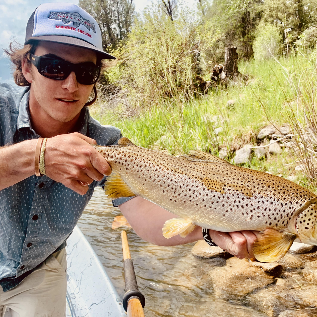 Lyons Brown Fly Fishing Guide