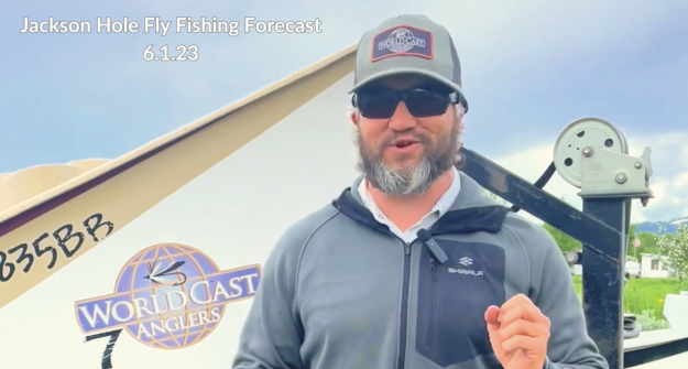 Jackson Hole Fly Fishing Forecast 6.1.23