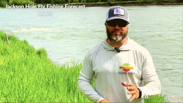 Jackson Hole Fly Fishing Forecst 6.9.23