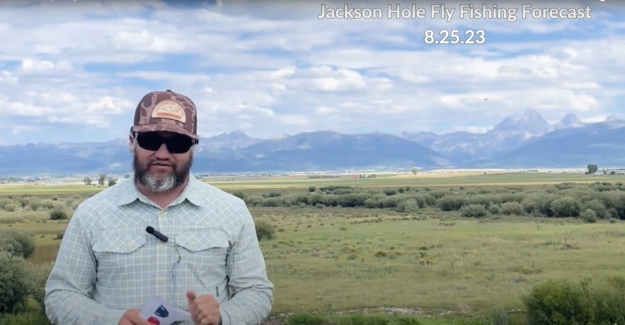 Jackson Hole Fly Fishing Forecast 8.25.23