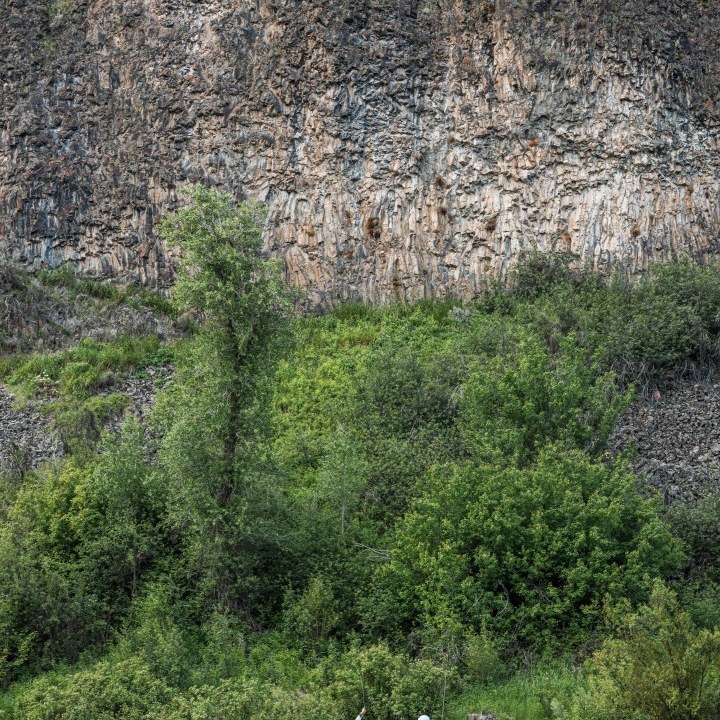 Cottonwood Camp Overnight Adventure