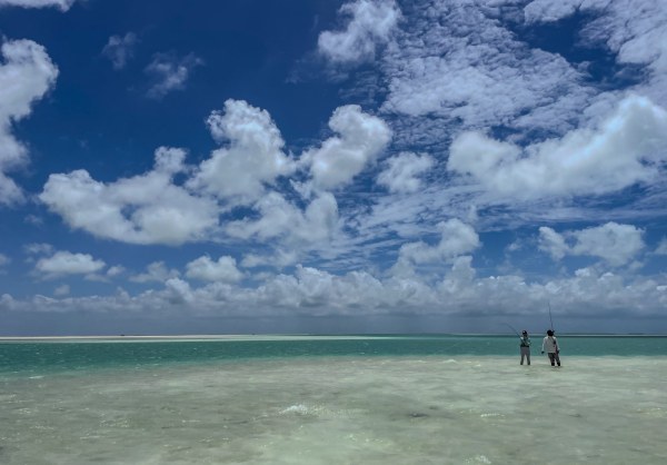 Christmas Island Trip Report - February 6th - 13th