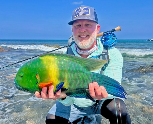 Oman No Boundaries Hosted Trip Report Broom Tail Wrasse
