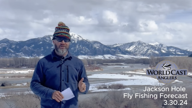 Jackson Hole Fly Fishing Forecast 3.30.24