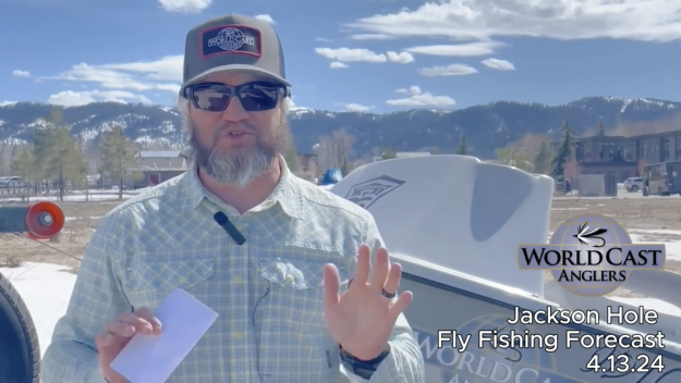 Jackson Hole Fly Fishing Forecast 4.16.24