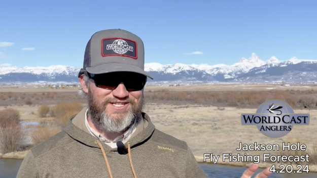 Jackson Hole Fly Fishing Forecast 4.20.24