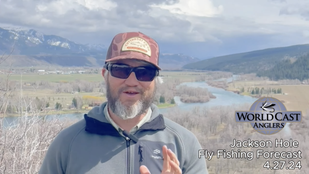 Jackson Hole Fly Fishing Forecast