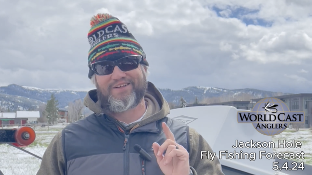 Jackson Hole Fly Fishing Forecast