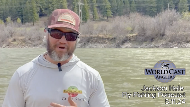 Jackson Hole Fly Fishing Forecast 5.11.24