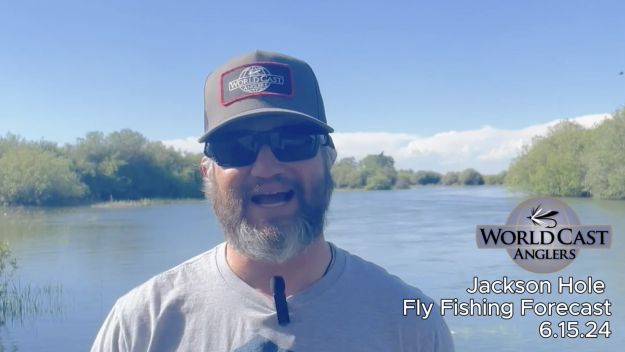 Jackson Hole Fly Fishing Forecast 6.15.24