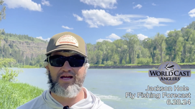 Jackson Hole Fly Fishing Forecast 6.28.24