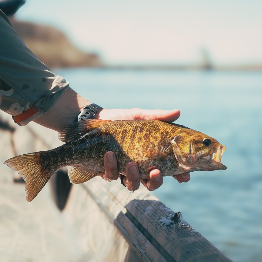 Bass on the Fly Tournament