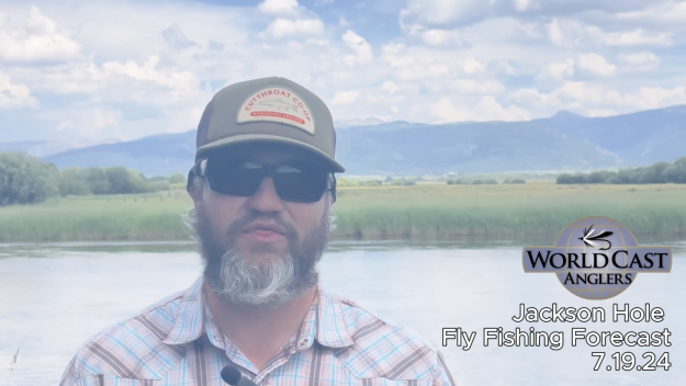 Jackson Hole Fly Fishing Forecast 7.19.24