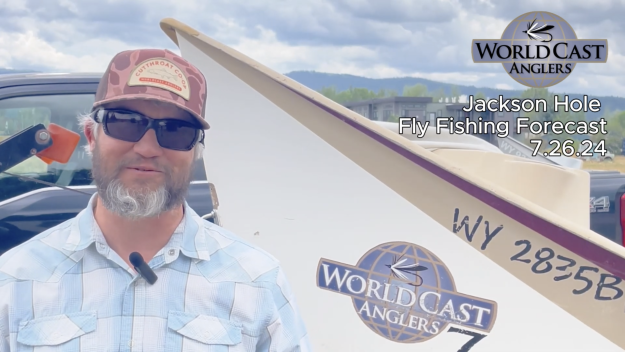 Jackson Hole Fly Fishing Forecast 7.26.24