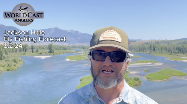 Jackson Hole Fly Fishing Forecast 8.2.24