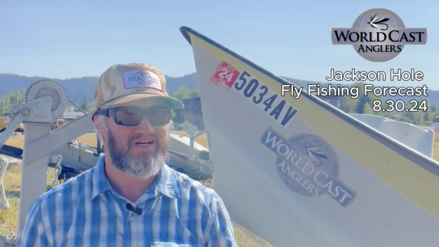 Jackson Hole Fly Fishing Forecast 8.30.24