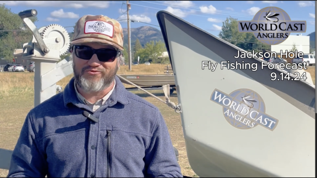 Jackson Hole Fly Fishing Forecast 9.14.24