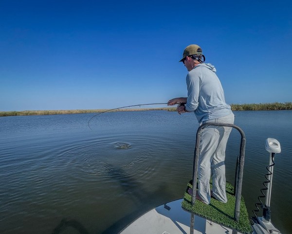 Southern Way Charters - Venice Louisiana Hosted Trip Report Marsh