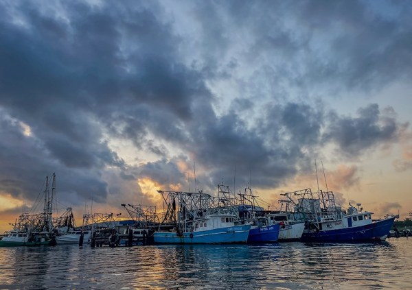 Southern Way Charters - Venice Louisiana Hosted Trip Report Shrimp Boat