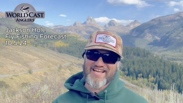 Jackson Hole Fly Fishing Forecast 10.5.24