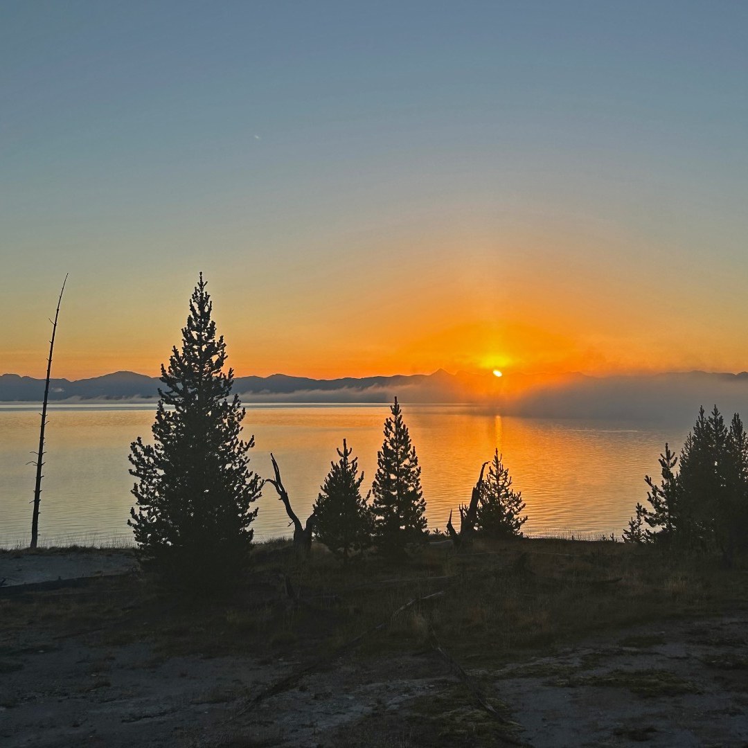 Fly Fishing Yellowstone National Park