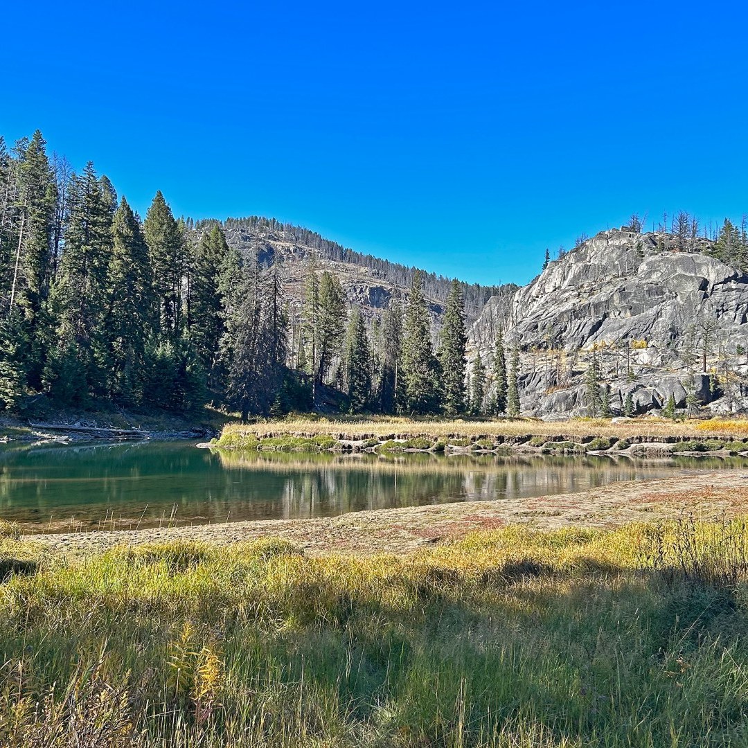 Fly Fishing Yellowstone National Park