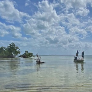 Playa Blanca Fly Fishing Lodge Hosted Trip Report
